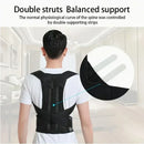 Scoliosis Student Trainer For Prevention